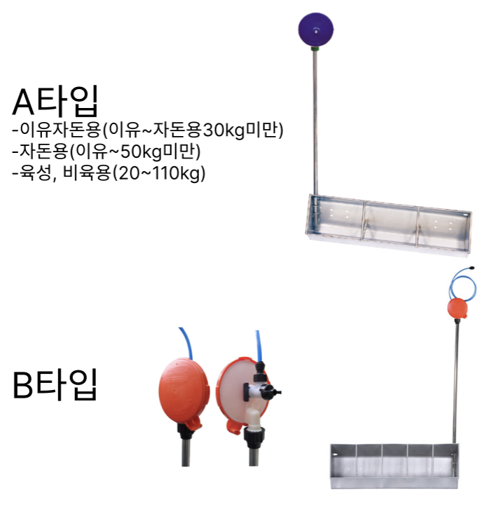 오아시스 옹달샘